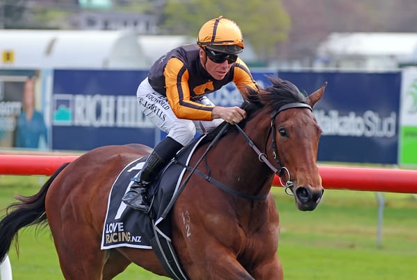 Promising filly taking Van Dyk places
