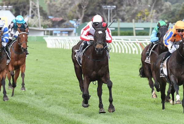 Dual stakes winner on comeback trail