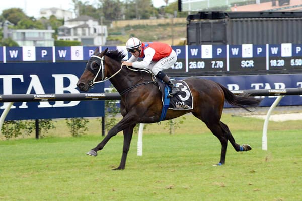 Sailor Jack pleases in home track trial