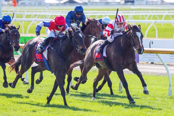 Show time for promising miler at Ashburton
