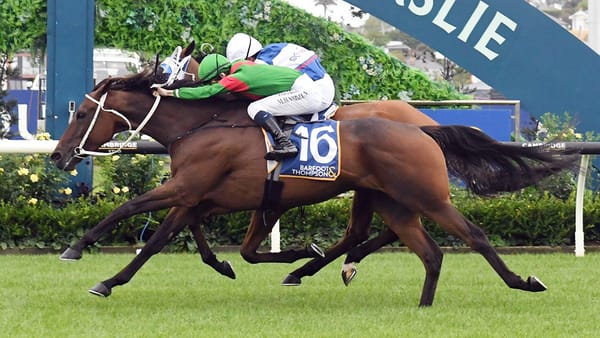 Cup spot on the line for Trav at The Valley