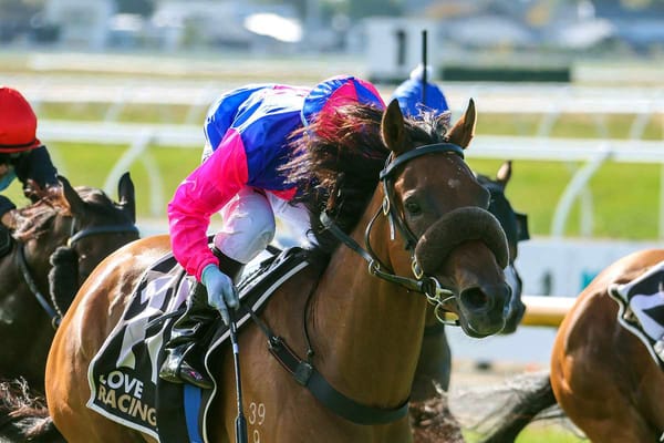 Lochmara Bay seeking breakthrough win