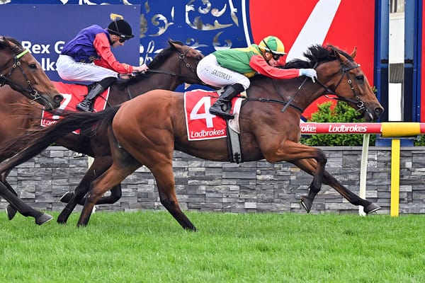 Geelong Cup hero Torranzino snares Golden Ticket