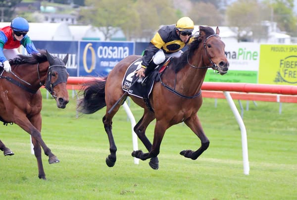 Special homebred chasing further success