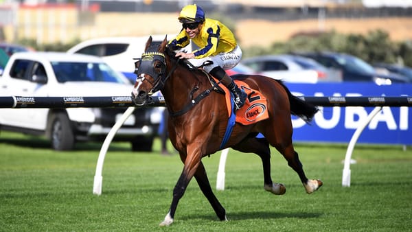 Stunning Waitak leaves Livamol rivals in his wake