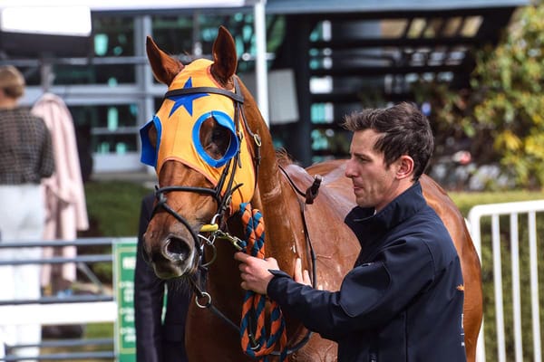 Te Akau’s Guineas contenders in holiday weekend spotlight