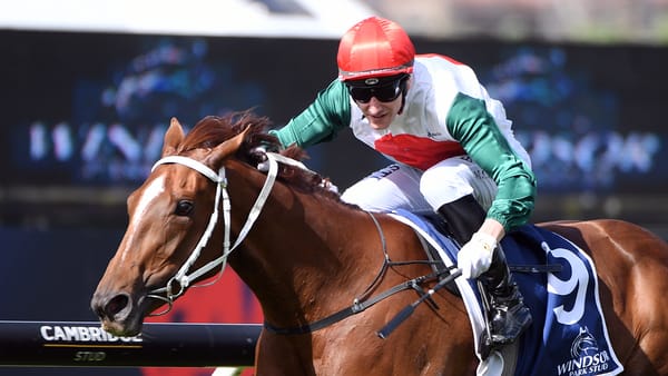 Well Written dominates Soliloquy Stakes