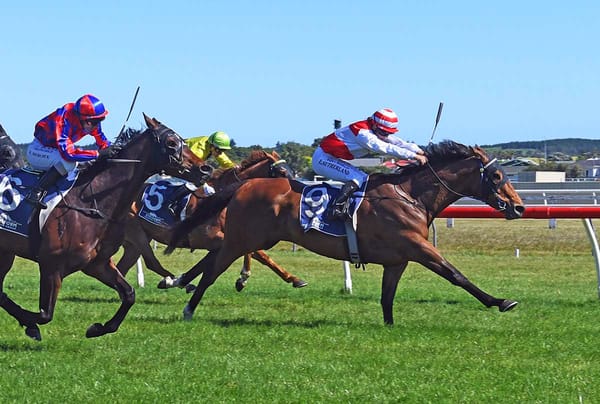 Trentham to decide future paths of stablemates