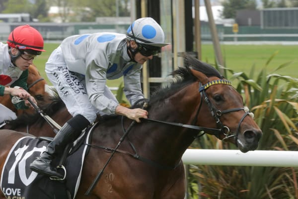 Powerful debutant kicks off Wexford treble