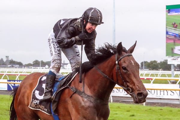 Bozo reigns supreme in gruelling New Zealand Cup