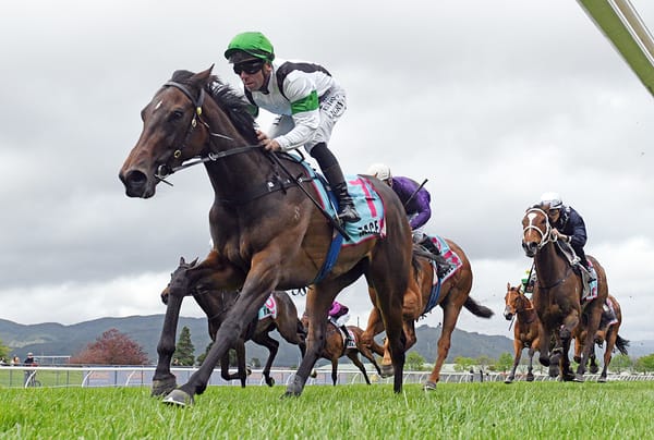 Sweet filly in tip-top order for Group One test