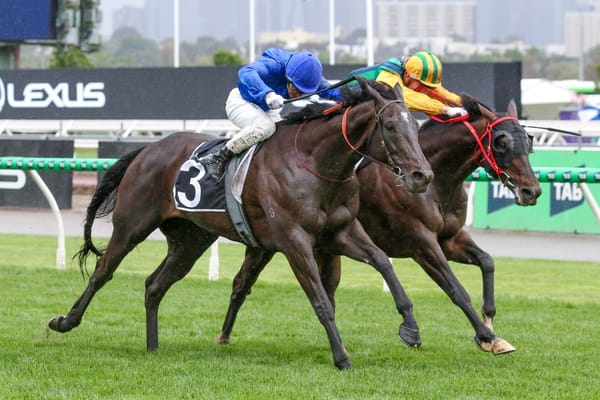 Pride open to Cox Plate tilt