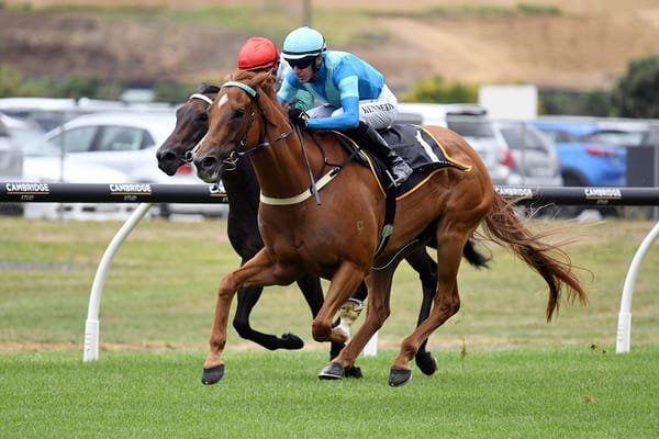 Crocetti primed for summer sprints