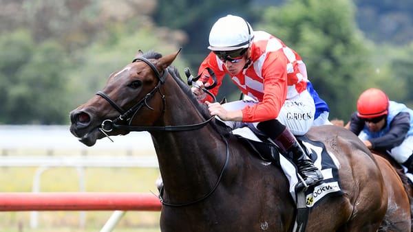 Dealt With to make raceday return