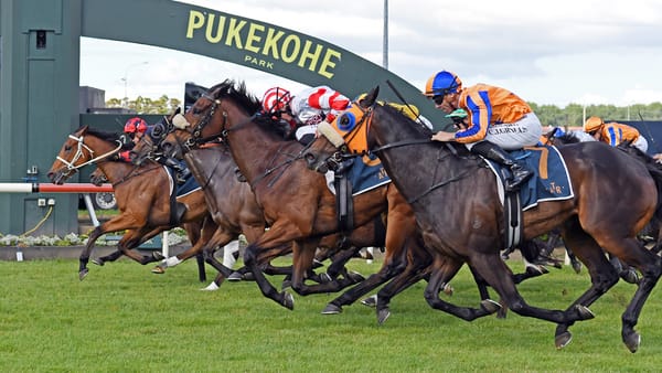 Nicholas captures Counties Cup with mid-race masterstoke