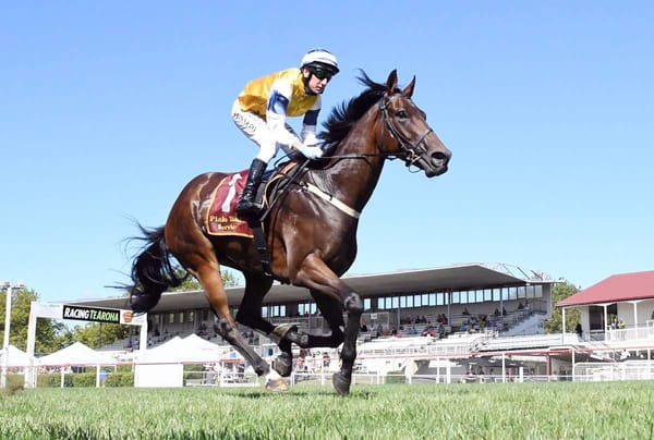 Greene excited for emerging stable star’s return