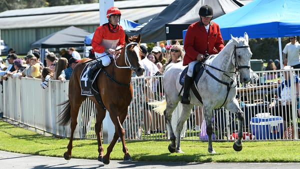 Glamour Tycoon shows fighting qualities in Tauranga victory