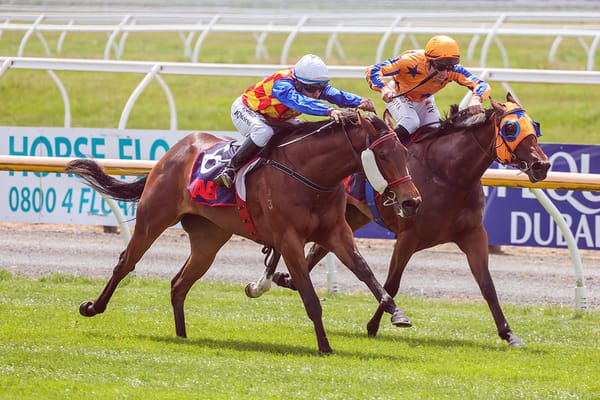 I Am Belle scores on debut at Riccarton