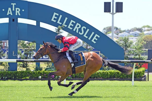 Incandescent shines in Ellerslie opener
