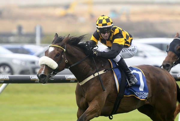 Jaarffi seeking breakthrough stakes win