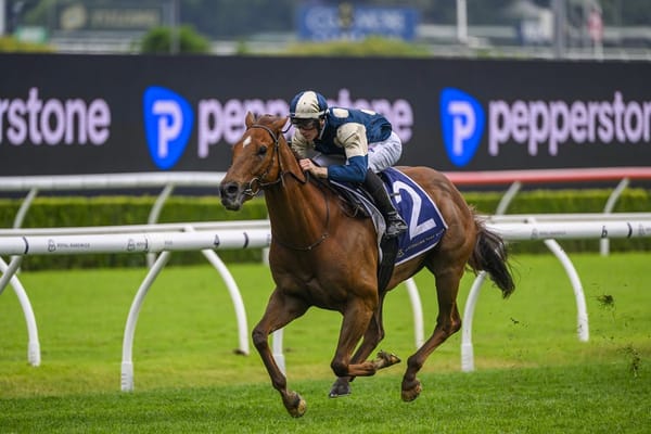 Jimmysstar in ‘career-best form’ ahead of Orr