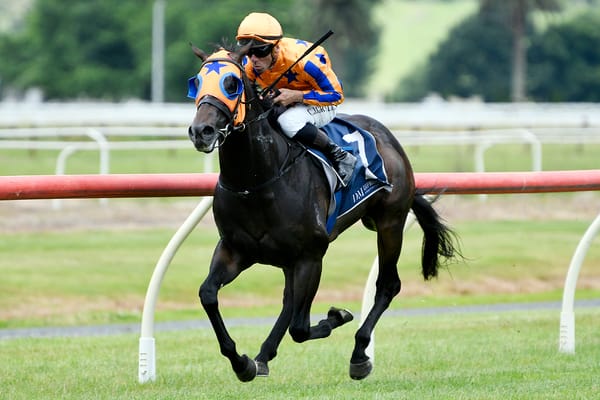 Regally-bred colt scores impressive maiden victory