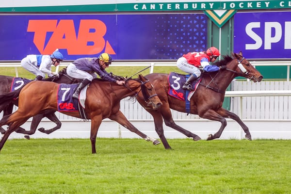 Well-bred galloper weaves his Magic