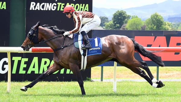 Kelsos’ millionaire mares on track for further riches