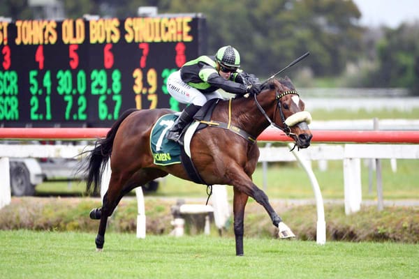Cup hope bred to go the ultimate trip