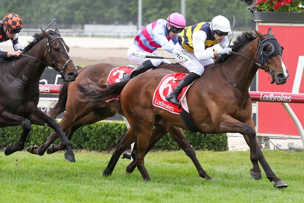 Regal Lion lands The Lester