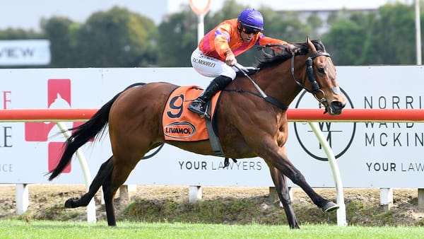 Stable change for Spencer ahead of summer campaign