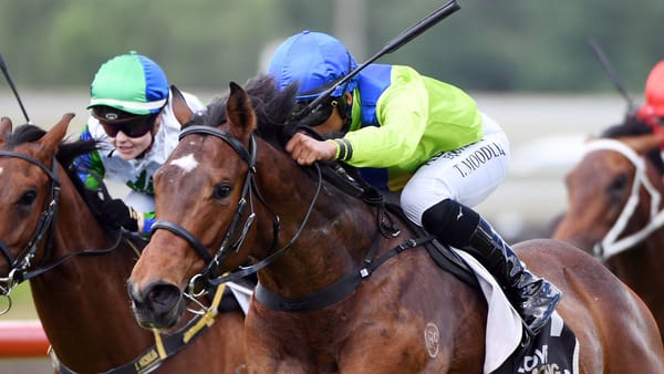 Kneebone collects first training success at Pukekohe