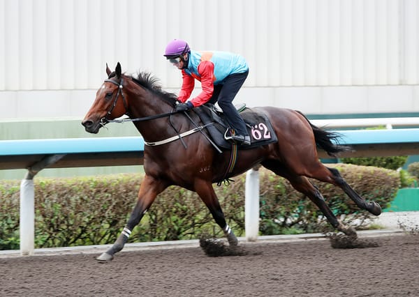 Dominant Ka Ying Rising trials at Sha Tin