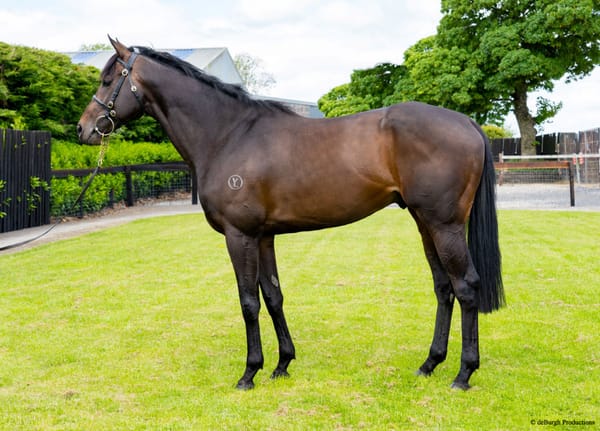 White Robe Lodge hoping Ancient Spirit can continue stakes momentum