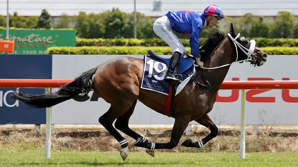 Marsh all smiles after Te Rapa exhibition gallops