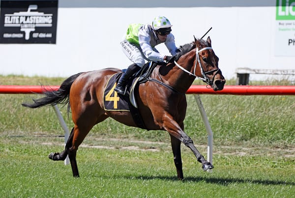 Hurdle unearths another exciting sprinter