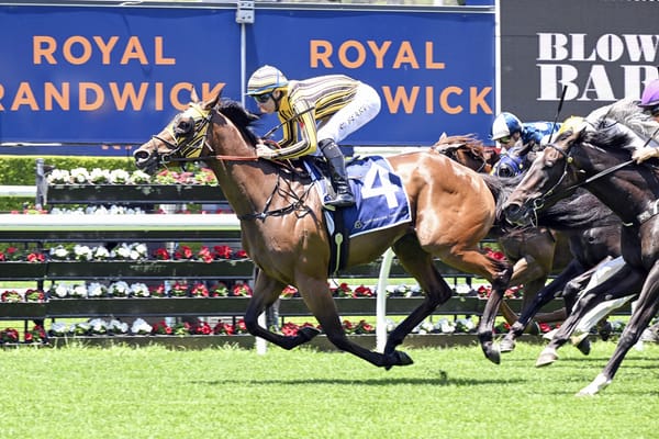 Hyperbolic cruises to Randwick success