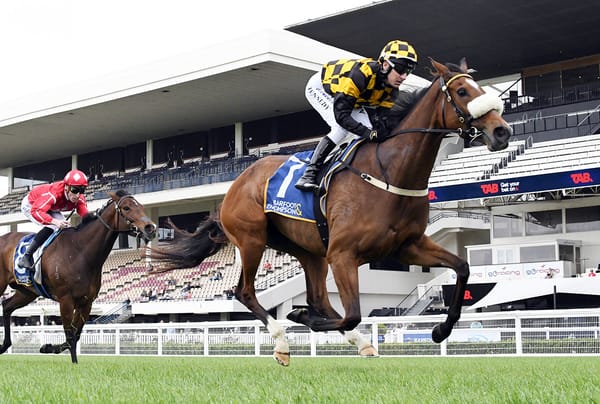 Noble eyes further Ellerslie rewards with Cambridge Stud team