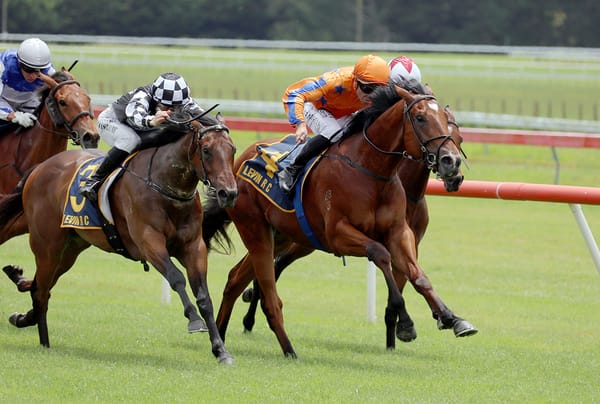 Kinnaird Karaka Millions-bound after debut win