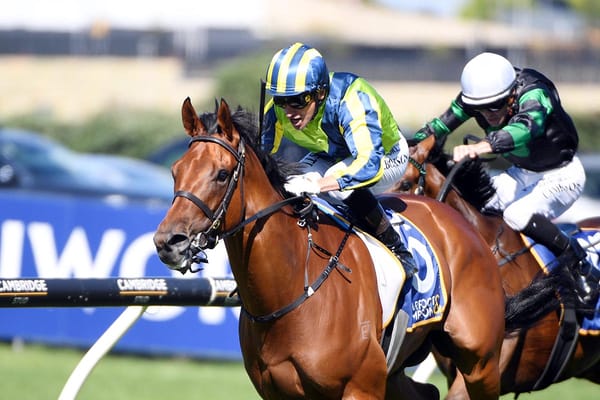 Bright future tipped for well-bred three-year-old