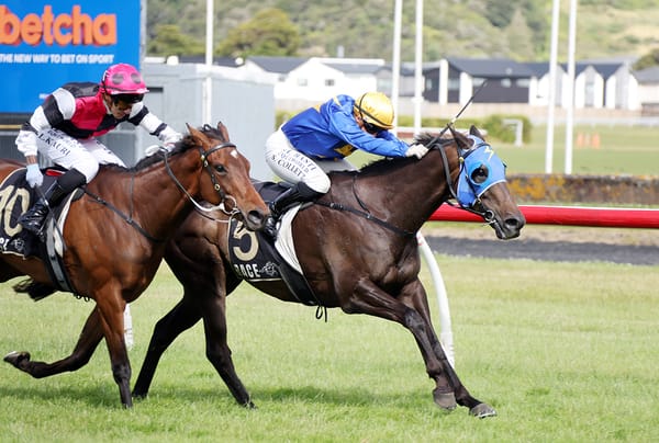 Sagunto wins third Manawatu Cup