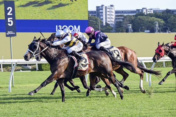 Step Aside strikes again at Randwick