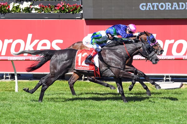 Sun Gift salutes at Cranbourne