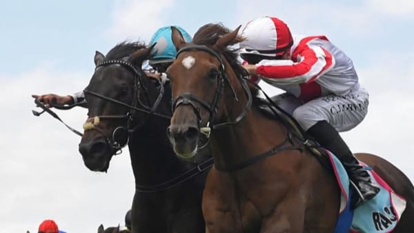 Déjà vu with The Dirty Dee