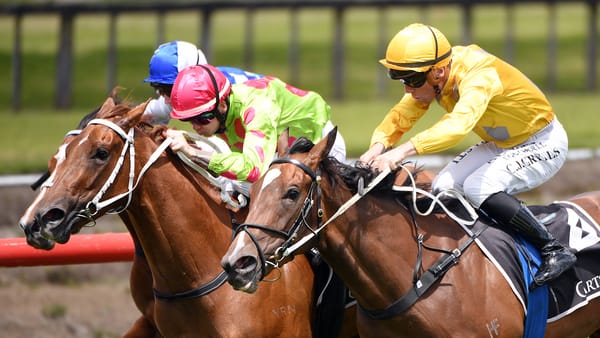 War Princess to answer mile query