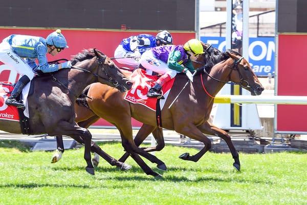 Grail Seeker’s half-sister strikes at Cranbourne