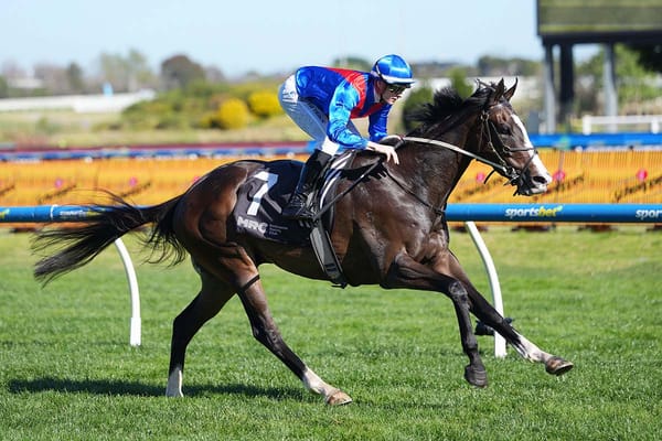 The remarkable rise of Zambardo