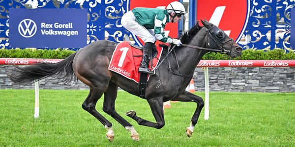 La Dorada’s half-brother makes winning start