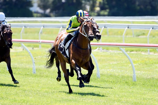 Ammirati ready for next Derby test