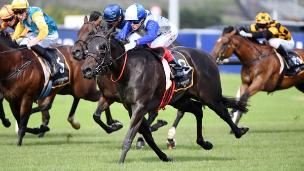 Belle Cheval vindicates NZB Kiwi selection